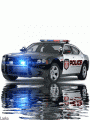 Аватар для polizei