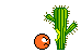 kaktus.gif